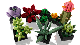 No. 4 - レゴ(LEGO) 多肉植物 10309 - 2