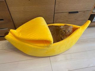 No. 3 - バナナ型猫ベッド - 2