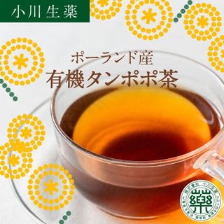 2024年版:おすすめのたんぽぽ茶とたんぽぽコーヒー- 2