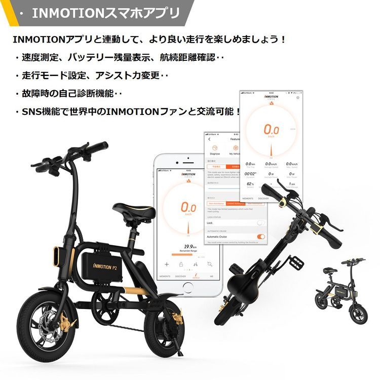 No. 10 - INMOTION P2 - 6