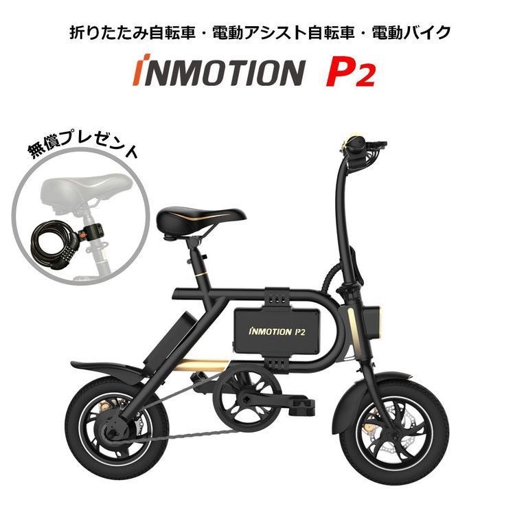 No. 10 - INMOTION P2 - 1