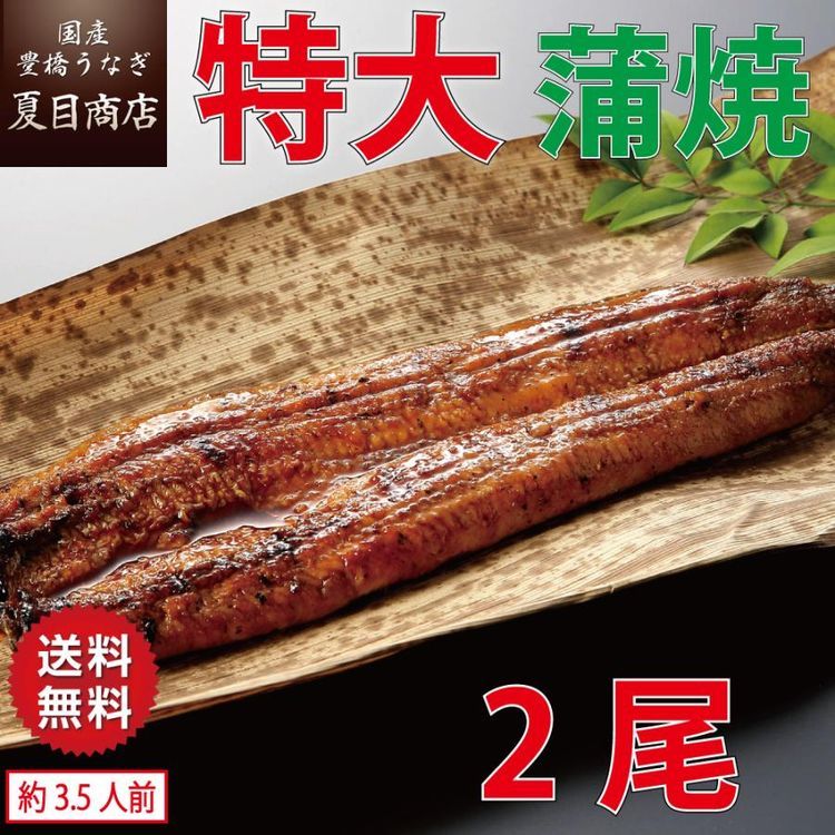 No. 2 - 国産 豊橋うなぎ 蒲焼き - 4