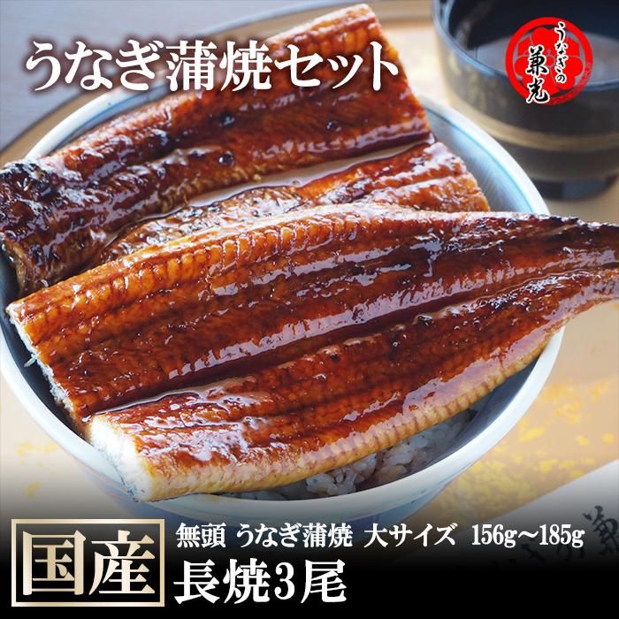 No. 5 - 無頭うなぎ蒲焼き - 6